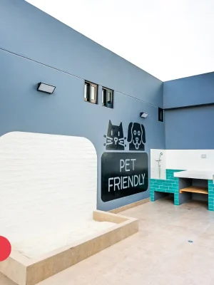 Pet Zone
